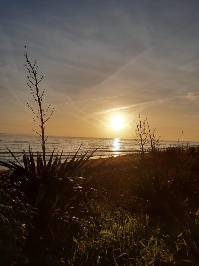 Superbe Vue Sur L'Ocean, Acces Direct A La Plage 滨海拉特朗什 外观 照片